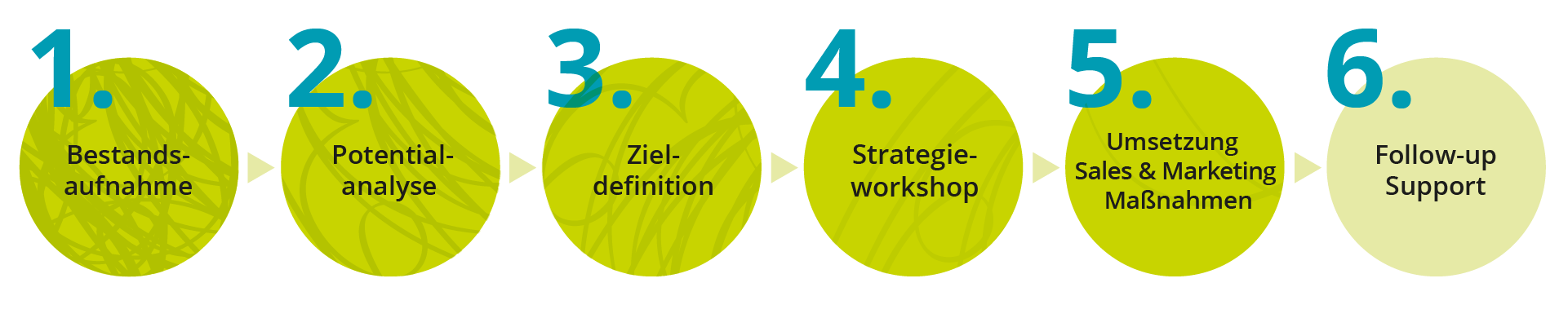 programm-marketing