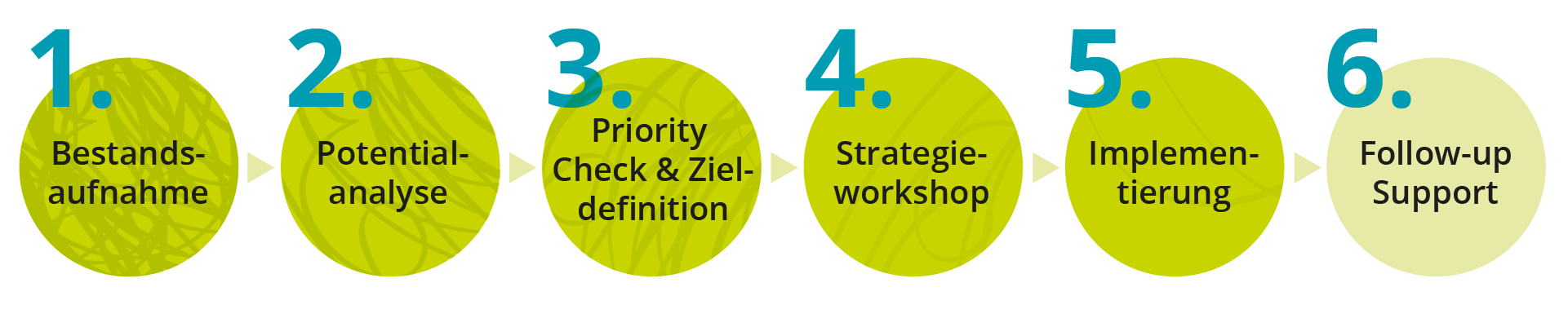 programm-strategie